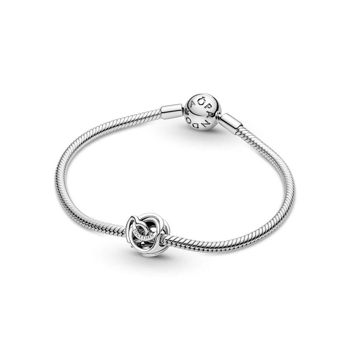 Charm Pandora Lazo Familiar 791507C00