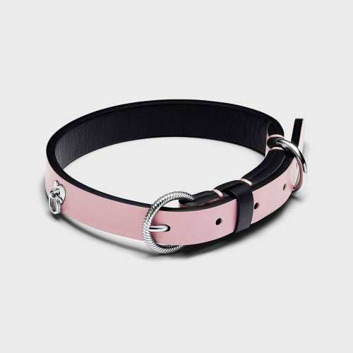 Collar Pandora para Mascota 312262C02-M