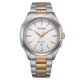 Reloj Citizen Elegant AW1756-89A