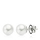 18K Pendientes Oro Blanco Perla Australiana 12 - 13  Mm