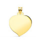 18K Chapa Oro Amarillo Corazon Brillo 26X23 Mm