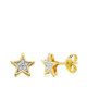 18K Pendientes Bicolor Estrella 6.5X6.5 Mm