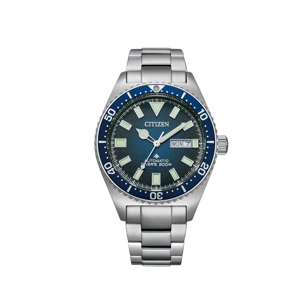 Reloj Citizen Professional Diver Promaster NY0129-58L